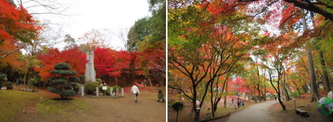 尾関山公園 三次市